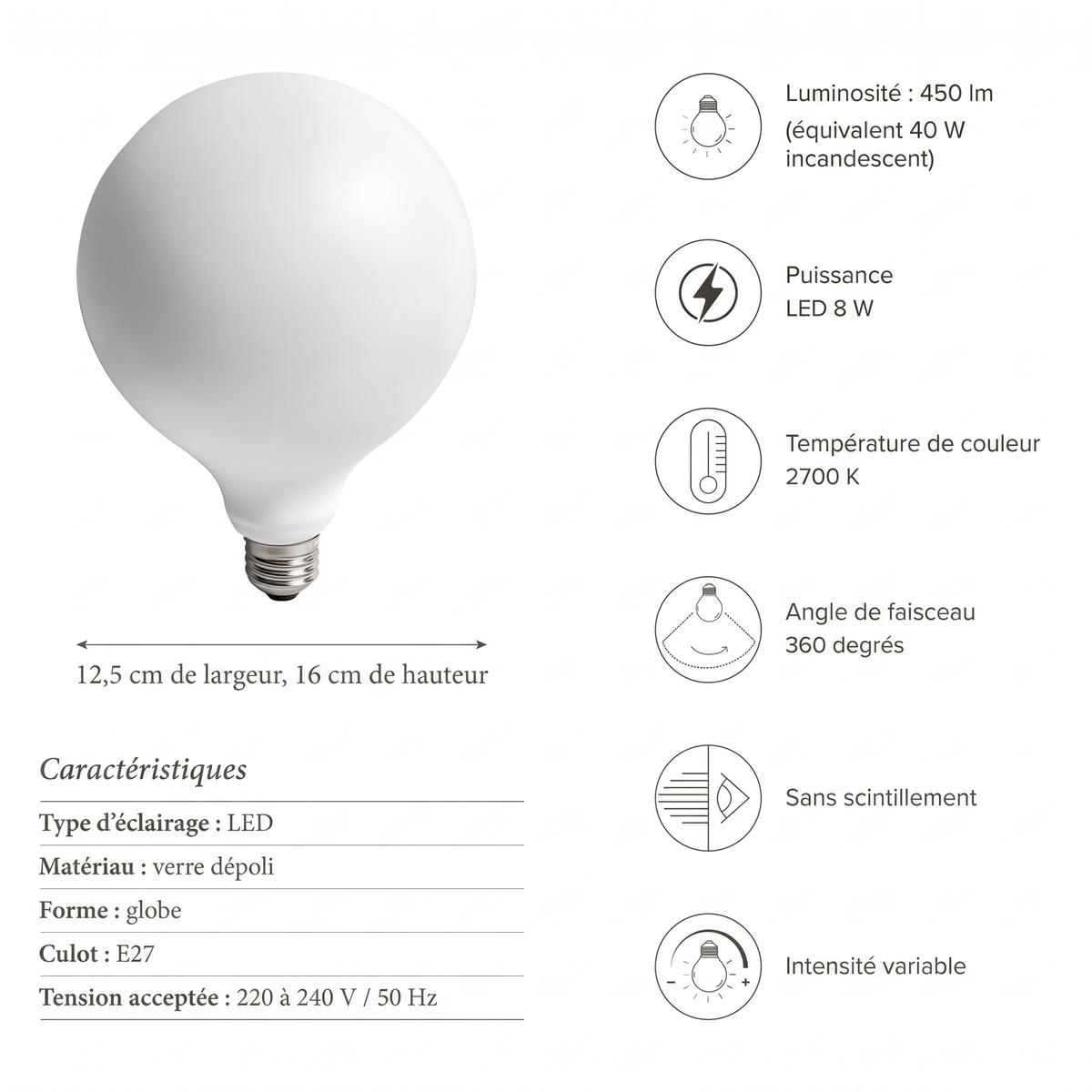 Caractéristiques ampoule LED G125 E27 2700K